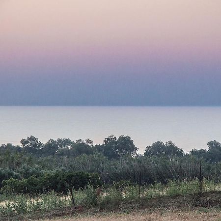 Villa Manoutsio Episkopi-Chania Eksteriør bilde